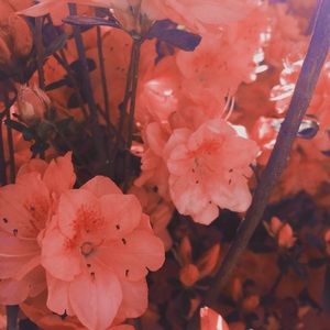 More items coming this week!